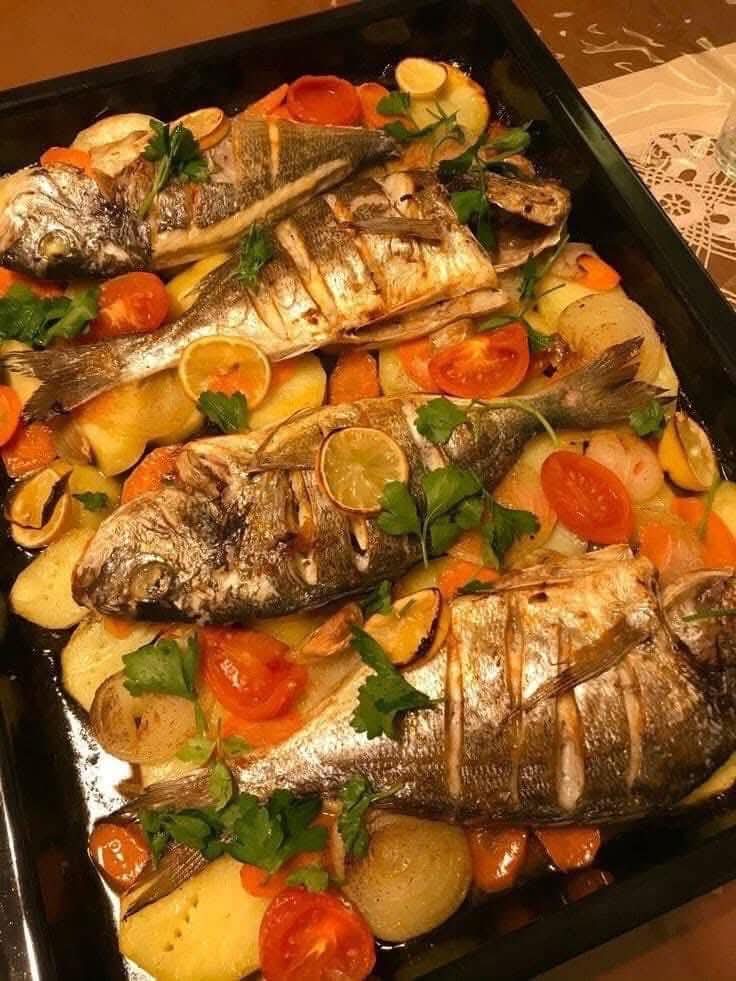 سمك دينس طازج